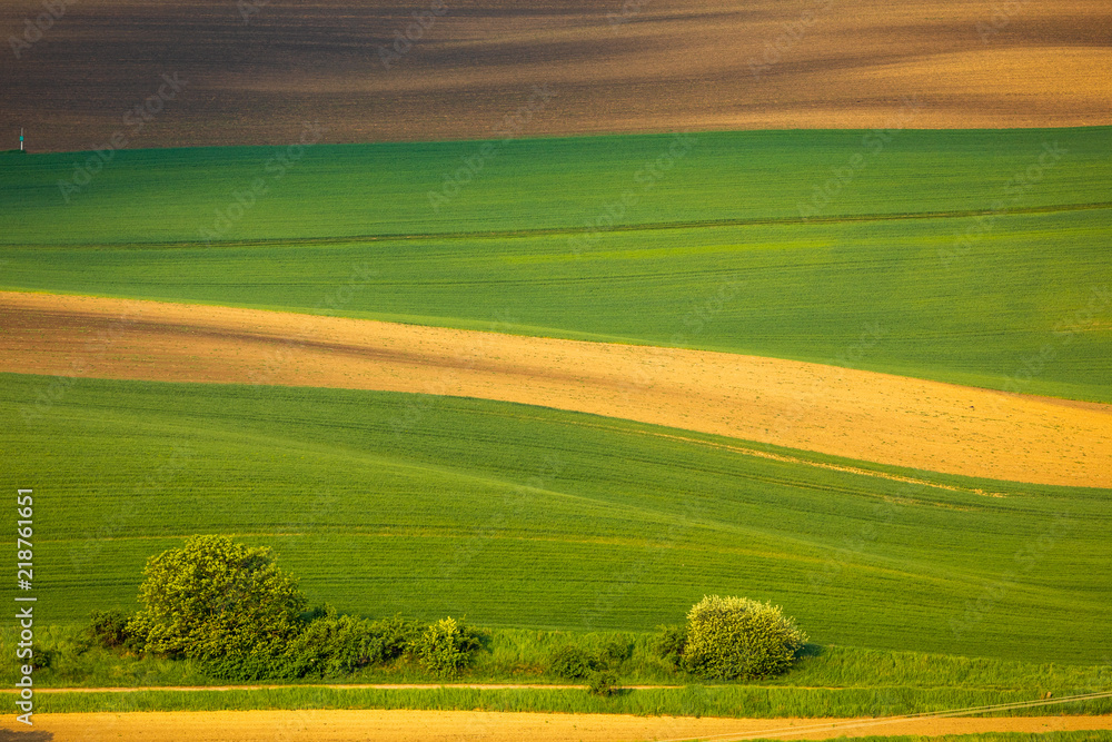 Obraz premium Moravian fields in spring