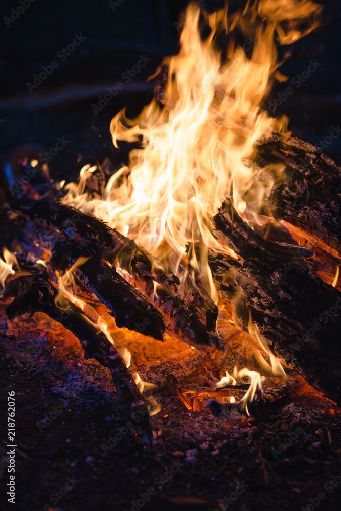 Fototapeta premium Camp fire at night in the forest