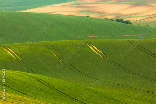 Moravian fields in spring © PawelUchorczak