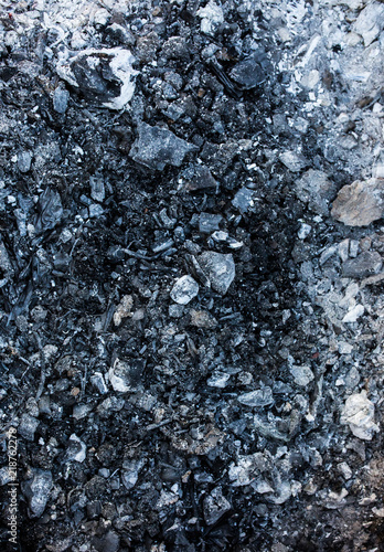 Wallpaper Mural Dark grey and black ash coal background texture. Torontodigital.ca