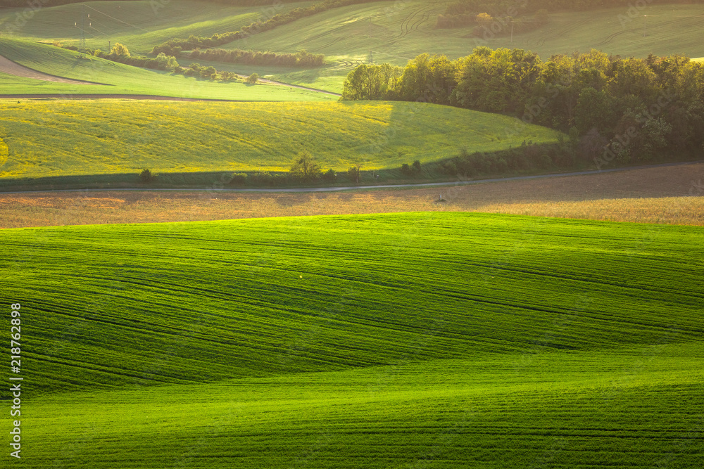 Obraz premium Moravian fields in spring
