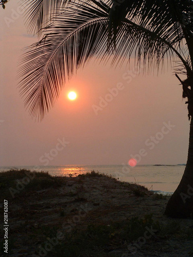 Sunset with palm tree