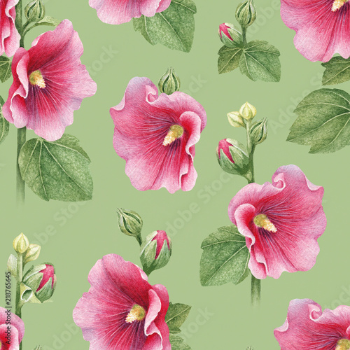 Illustrations of mallow flowers. Seamless pattern.