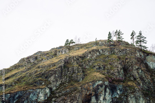 Beautiful rocky gray mountain with green trees and pink flowers. Varicolored natural texture. Background image of cliff.