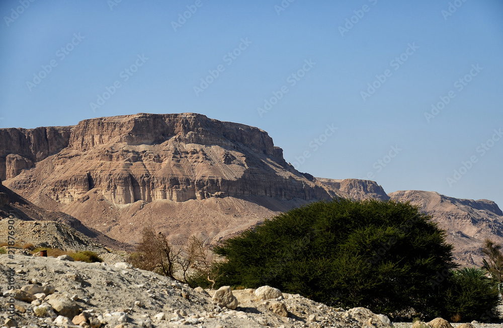 The Negev Desert in Israel