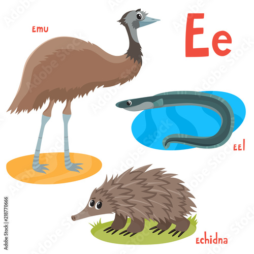 Vector illustration of emu, eel and echidna isolated on white.