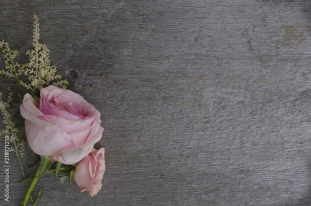 Two pink roses on rustic wooden board with copy space background