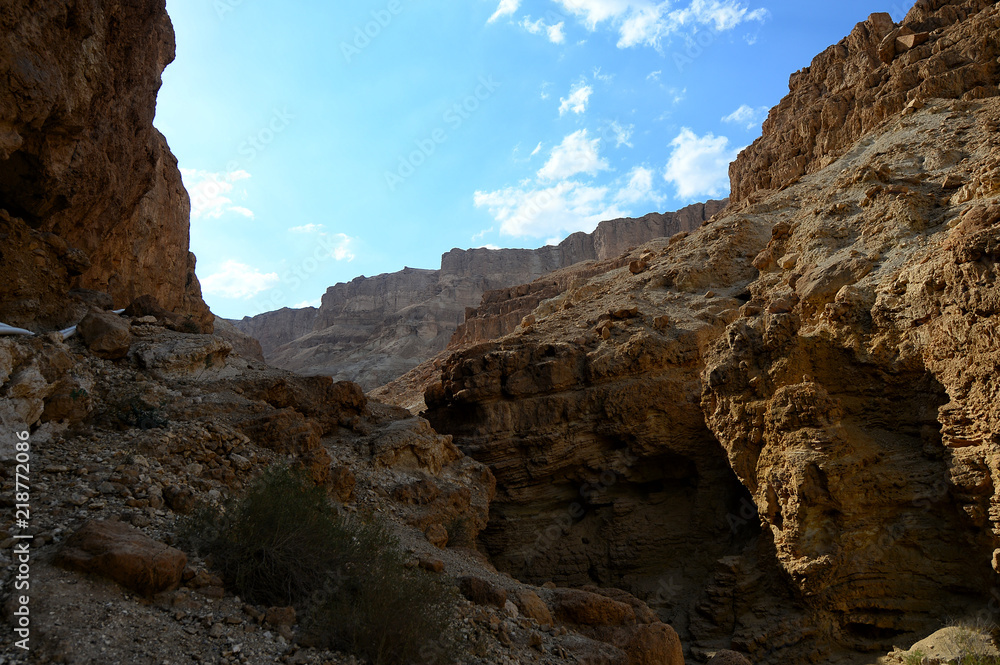 The Negev Desert in Israel