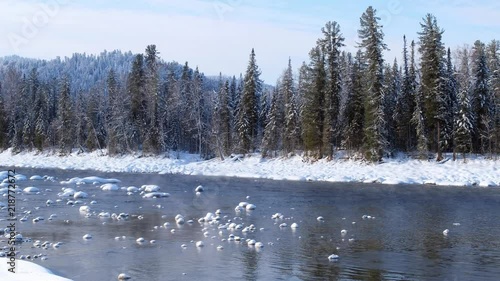 Wallpaper Mural Stones with snow caps in the water of Altai Biya river  in winter season with forest on background Torontodigital.ca