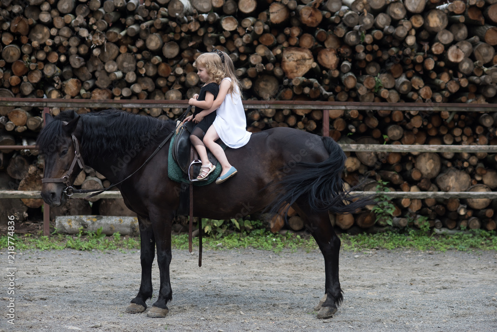 Girls ride on horse on summer day Girls ride on horse on summer day