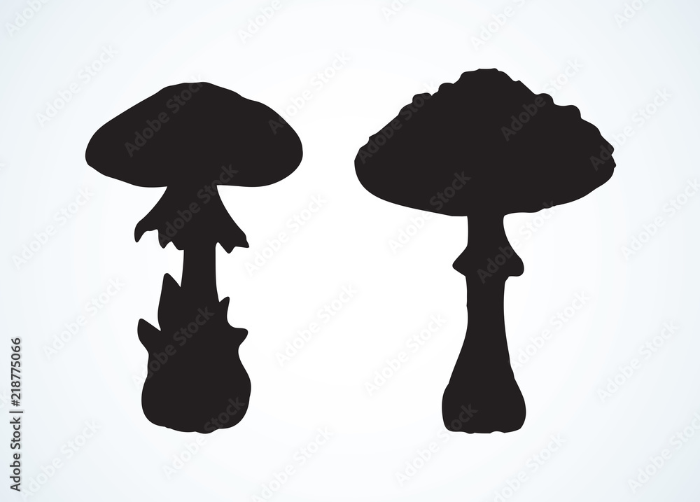 Poisonous fungus. Vector drawing Poisonous fungus. Vector drawing