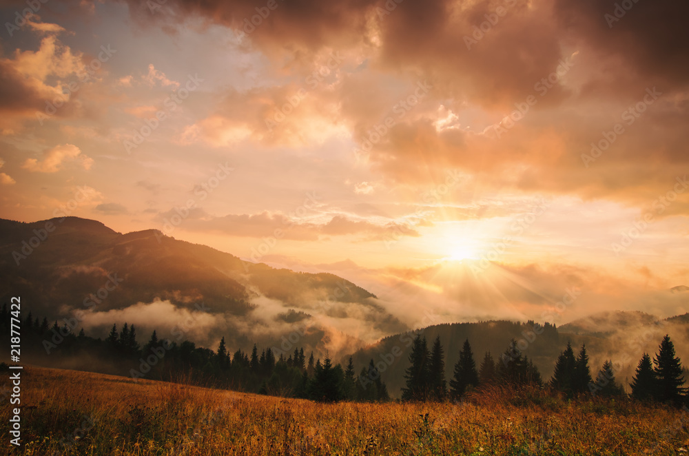 Foggy morning shiny summer landscape with mist, golden meadow and sun shining Foggy morning shiny summer landscape with mist, golden meadow and sun shining