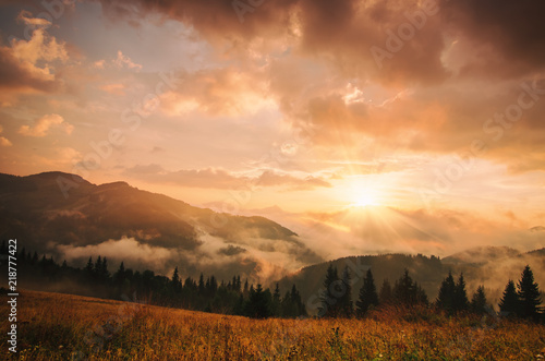 Fototapeta Naklejka Na Ścianę i Meble -  Foggy morning shiny summer landscape with mist, golden meadow and sun shining