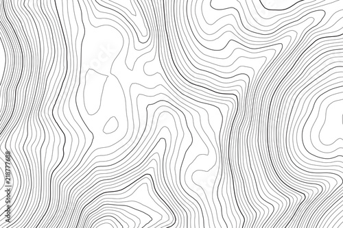Vector contour topographic map background. Topography and geography map grid abstract backdrop. Business concept. Vector illustration