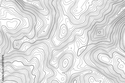 Vector contour topographic map background. Topography and geography map grid abstract backdrop. Business concept. Vector illustration photo