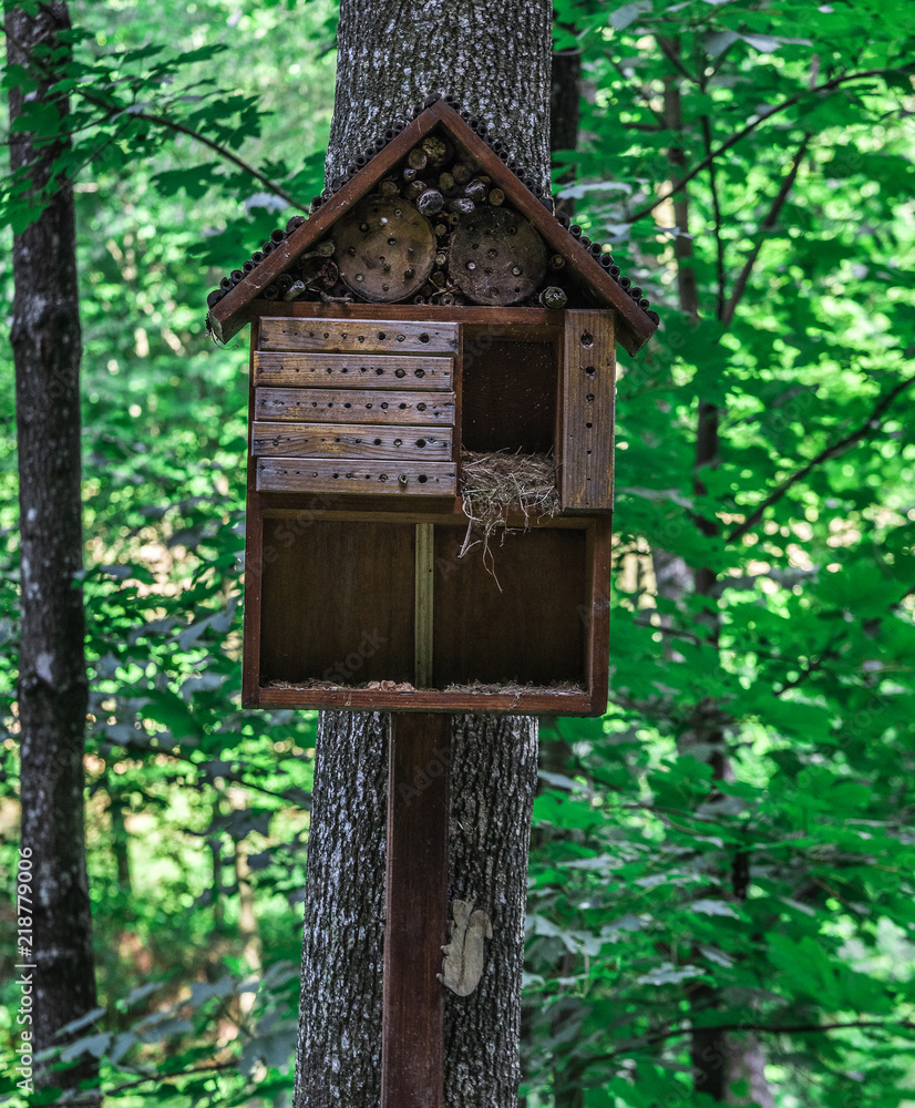 A wooden house for squirrels in the form of a birdhouse on a tree the forest. A wooden house for squirrels in the form of a birdhouse on a tree the forest.