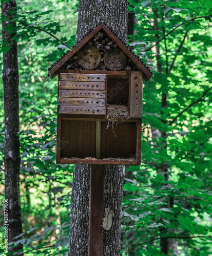 A wooden house for squirrels in the form of a birdhouse on a tree the forest.