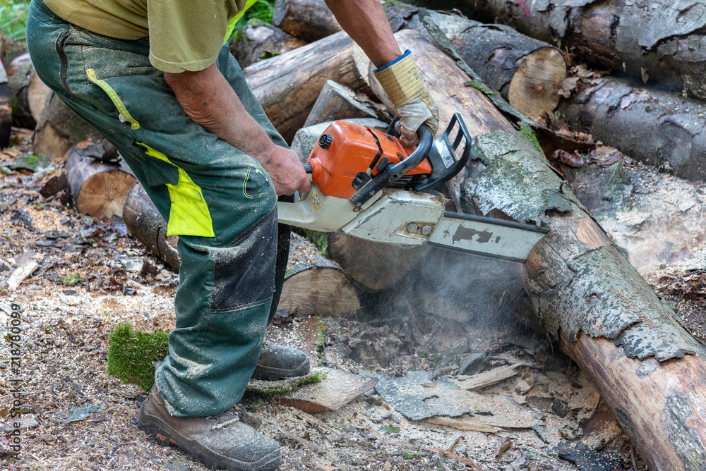 Lumberjack cutting trees with a chainsaw Lumberjack cutting trees with a chainsaw