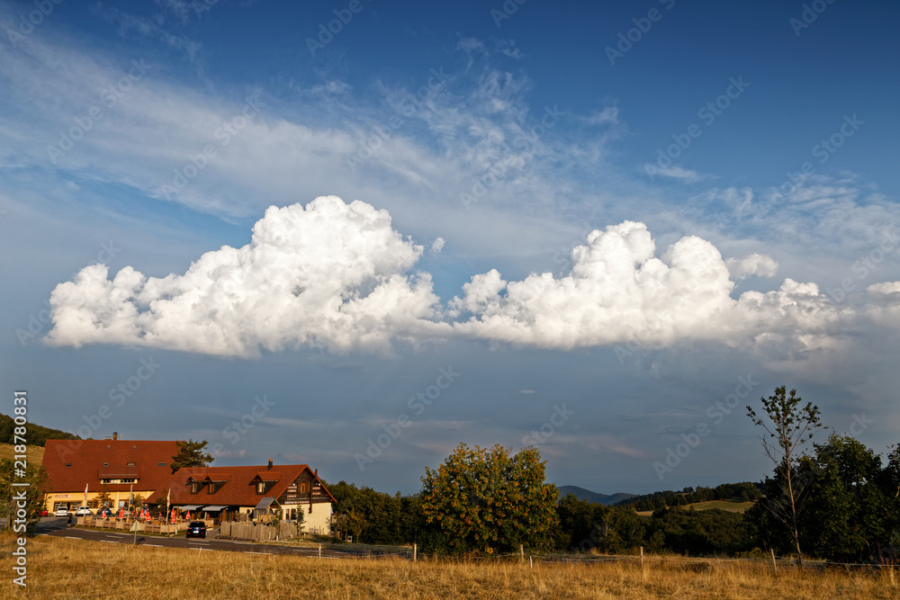 Fototapeta premium Paysage des Vosges