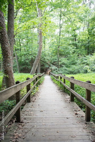 Trail through woods with wooden rails and path