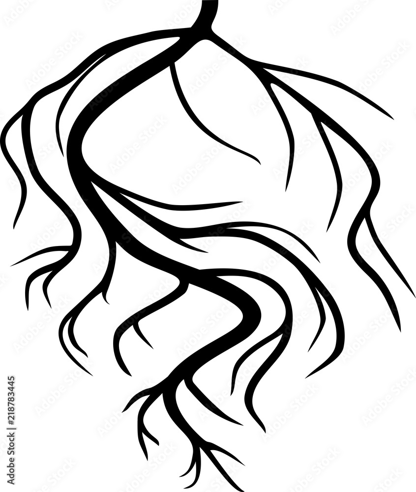 Silhouette of stylized black root isolated on white background