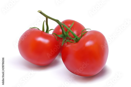 Three ripe red tomatoes on a branch. Photo-realistic vector illustration on a white background.