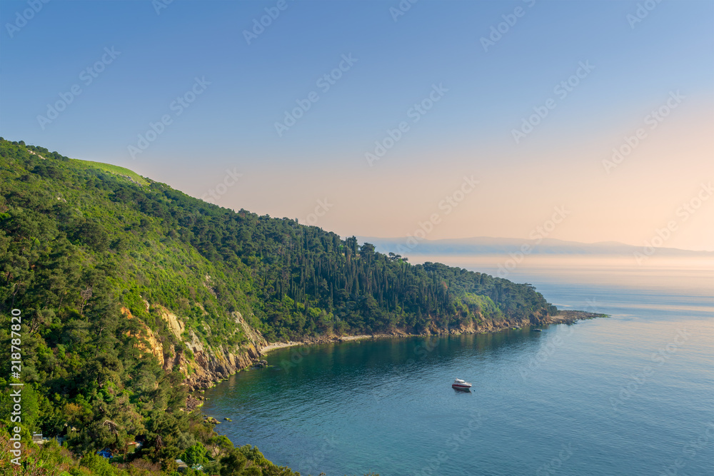View from the top of mountains of Buyukada island, one of the Princess Islands (Adalar), Marmara Sea, Istanbul, Turkey, with green woods, calm sea, and clear sky