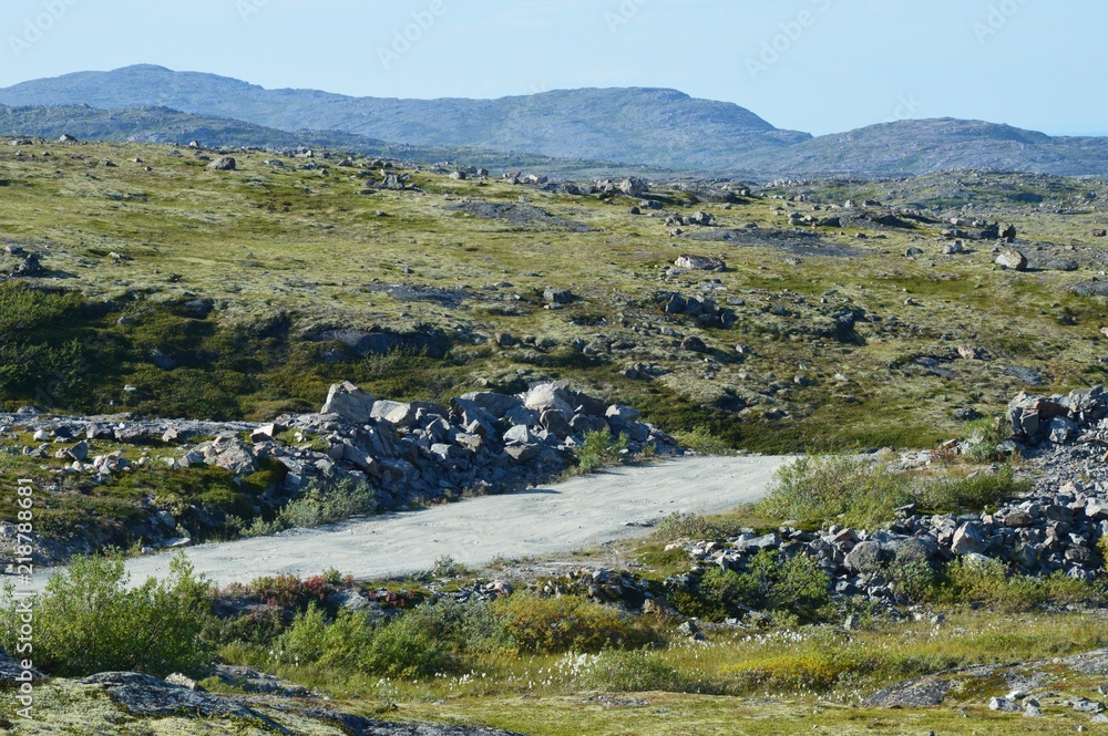 Naklejka premium rib40