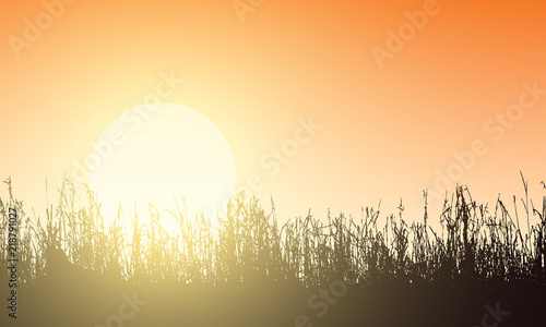 Vector illustration of lawn with grass seams, orange sky and rising sun, backlight sunlight