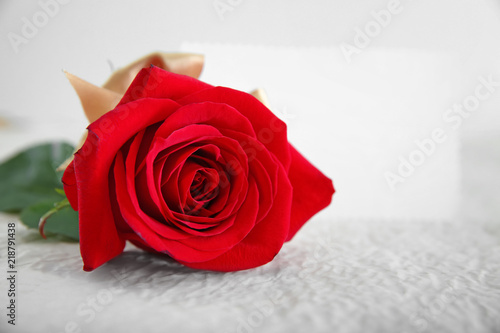 Beautiful red rose and blank card on light table  closeup