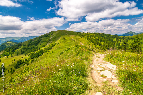 Spring landscape with grassy meadows and the mountain peaks, blue sky with clouds in the background. The Donovaly area in Velka Fatra National Park, Slovakia, Europe.