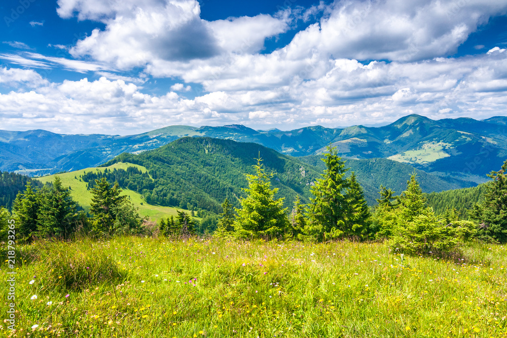 Spring landscape with grassy meadows and the mountain peaks, blue sky with clouds in the background. The Donovaly area in Velka Fatra National Park, Slovakia, Europe.