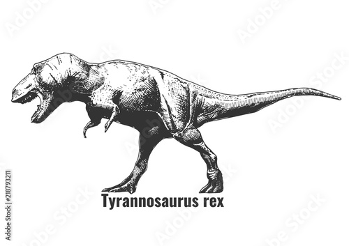 illustration of Tyrannosaurus rex