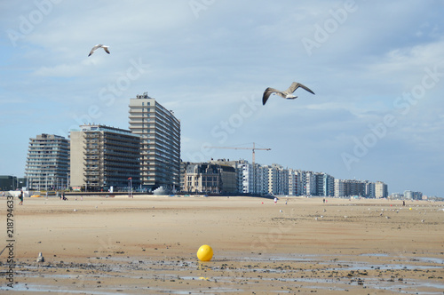 mer cote belge littoral nord Ostende plage eau vague sel maree immobilier appartement building location louer proprietaire vacances sable oiseaux mouettes photo