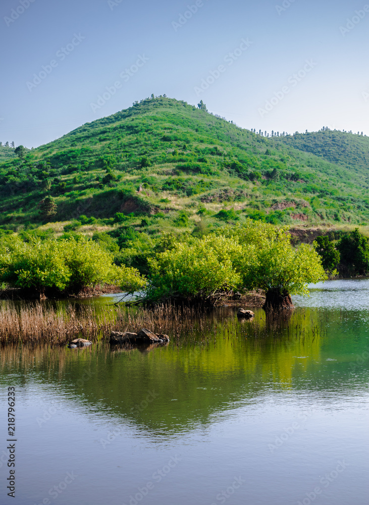 Erjos wetland, Los Silos, Tenerife, Canary islands, Spain