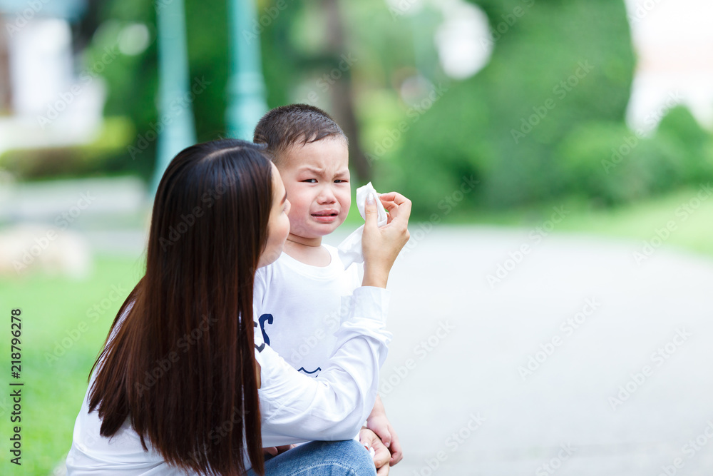 The little boy crying with mother between travel at park.