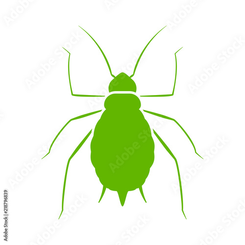 Aphid vector icon
