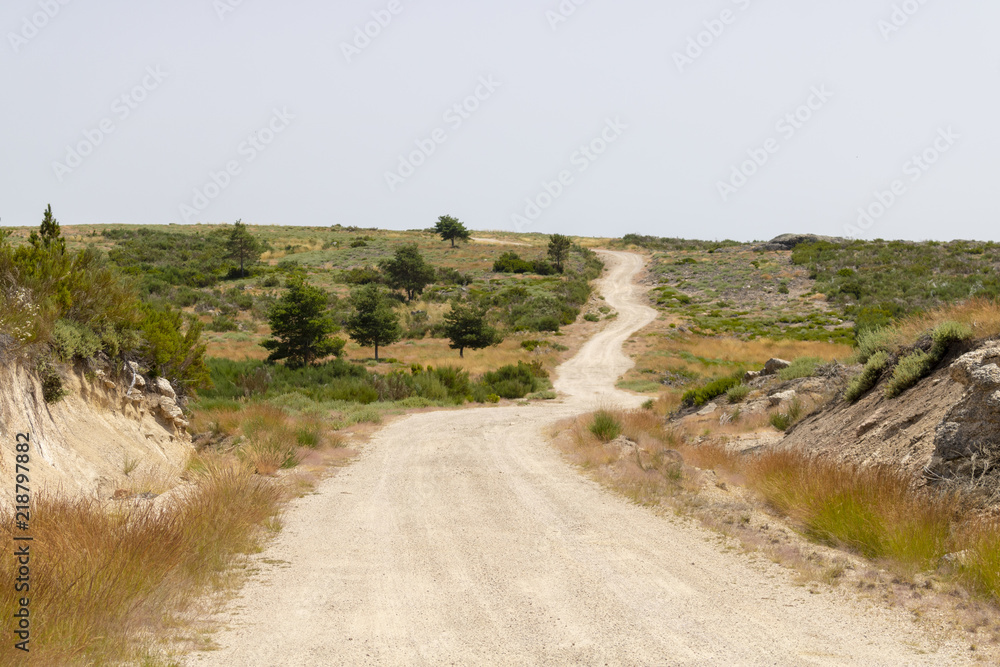 Caminho Caminho