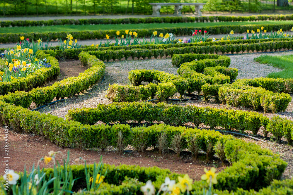 Landscaping, paths, flower beds and shrubs in the garden Landscaping, paths, flower beds and shrubs in the garden