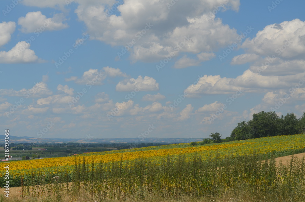 PUY DE DDME