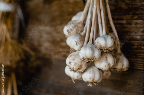 Bunch of garlic hanging on wooden old wall photo