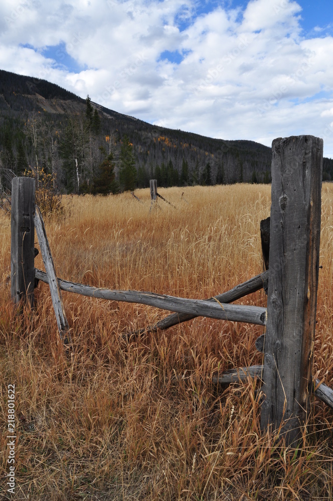 Old Gray Weathered Fence Overlooking a Field of Golden Grain and the Rocky Mountains
