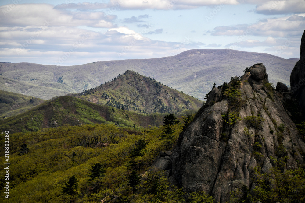 Mountain forest nature