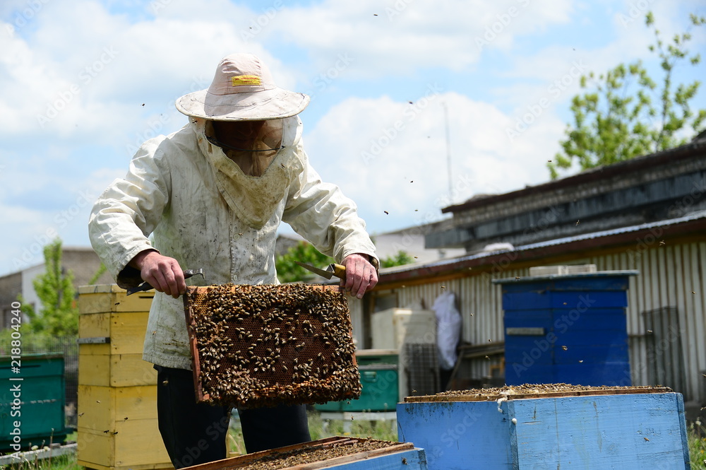 Beekeeper working collect honey Beekeeper working collect honey