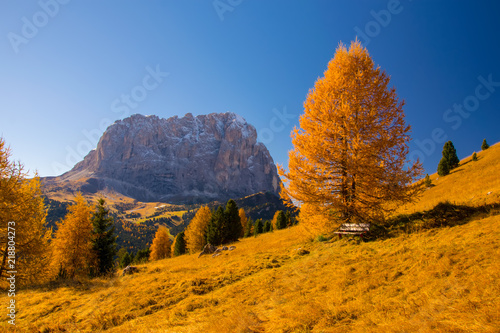 Фотография Autumn scenery in Dolomite Alps with bench under beautiful yellow larch tree and