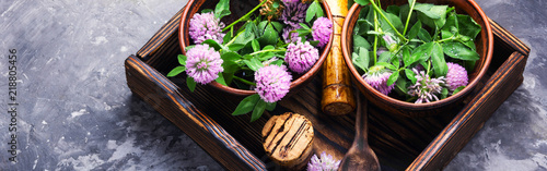 Fotografie Healing plant clover