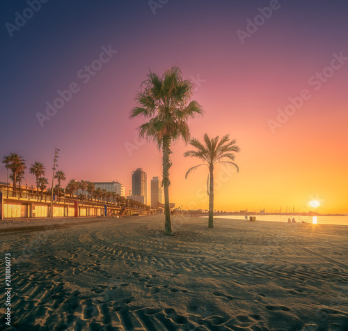 Photography Dramatic sunrset on beach of Barcelona with palm