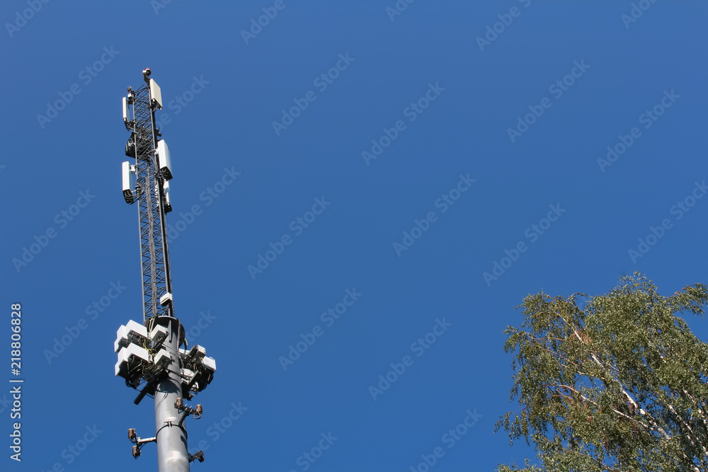 Telecommunication pole and birch tree