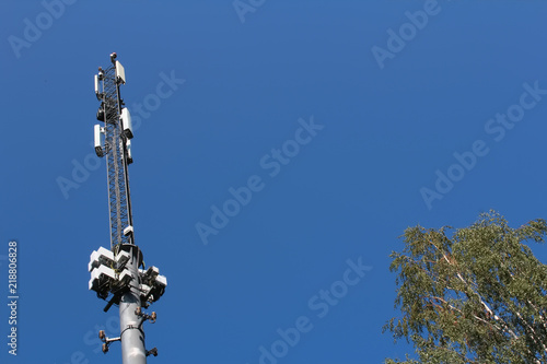 Telecommunication pole and birch tree