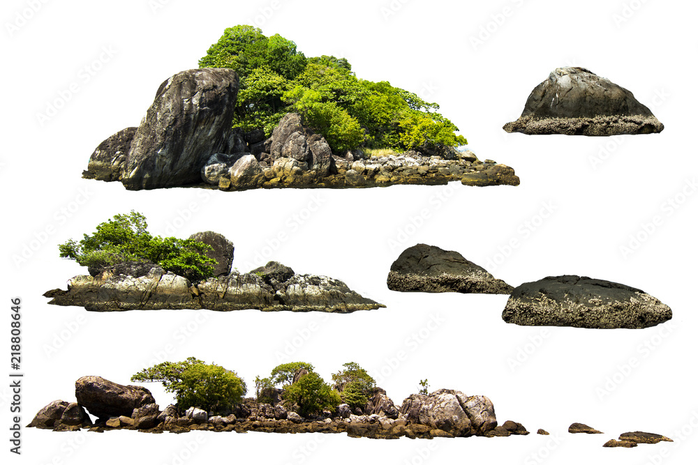 The trees on the island and rocks. Isolated on White background - obrazy, fototapety, plakaty 